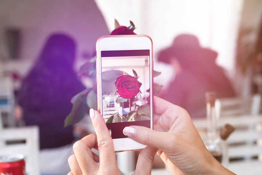 Woman taking photo of rose on her smartphone. Restaurant.