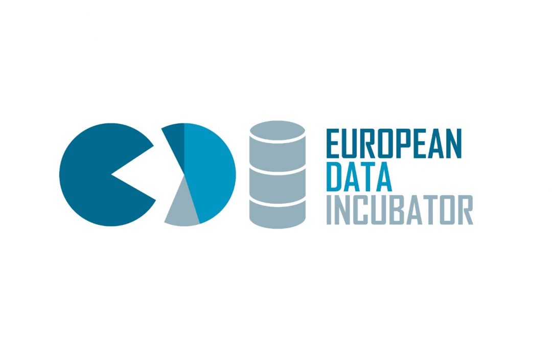 Logo European Data Incubator