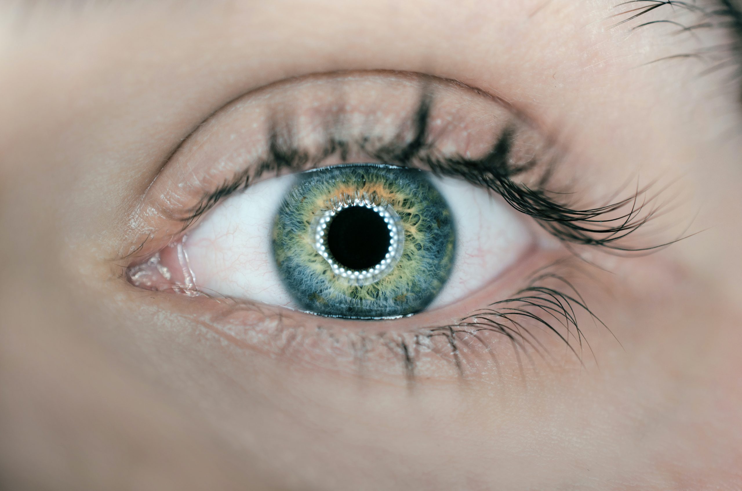 dettaglio occhio artificiale