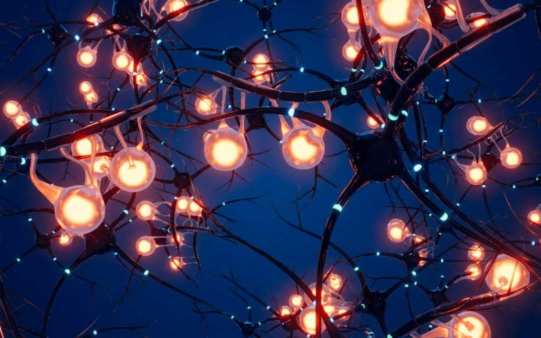 Come le neuroscienze hanno ottimizzato il marketing attraverso il data driven