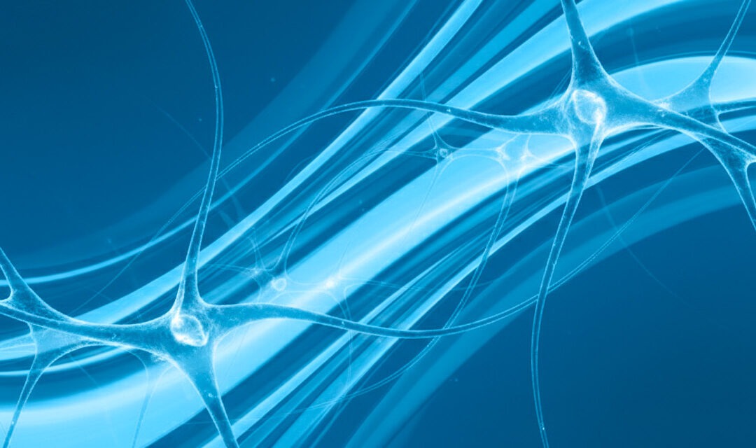 Come le neuroscienze hanno ottimizzato il marketing attraverso il data driven.