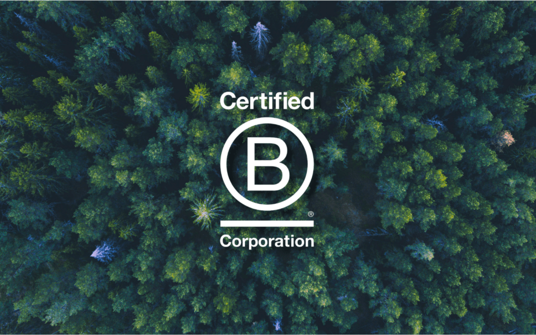 Imprese B Corp italiane