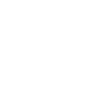 Logo Scaligera basket