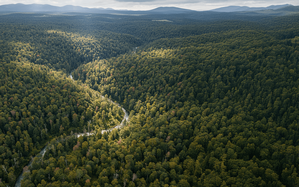 progetti tra scuola e imprese